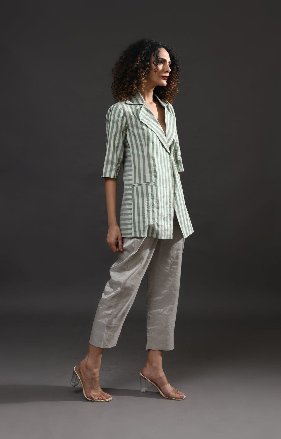 Striped Tissue Blazer- Silver and Green